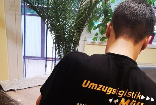 Preise für Ihren Studentenumzug in Löbnitz